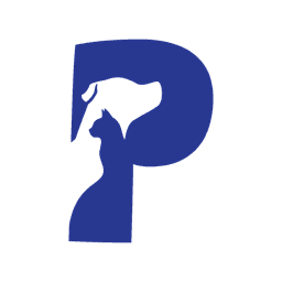 Patipin logo