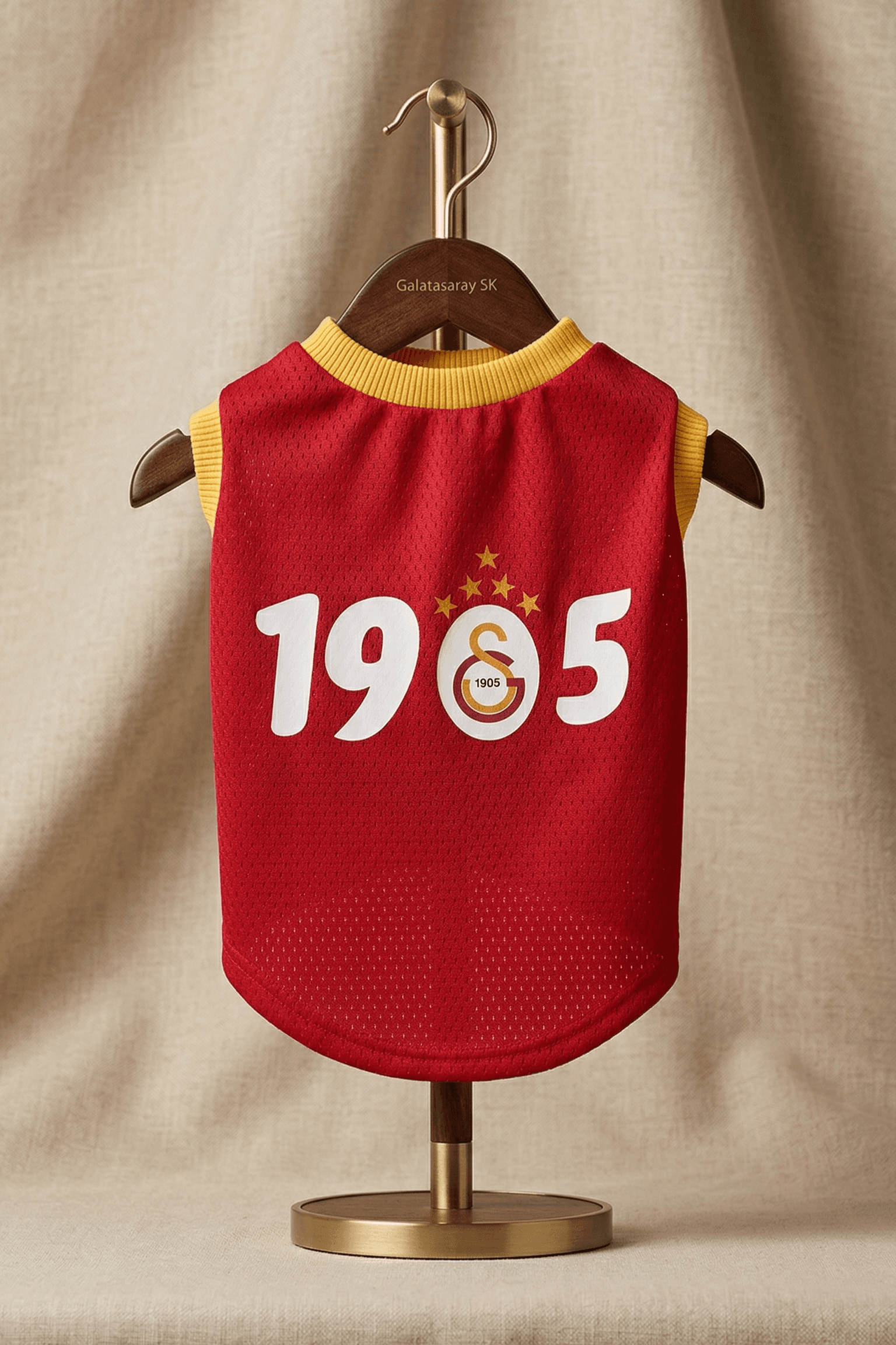 Galatasaray Evcil Hayvan Atleti - Görsel 1