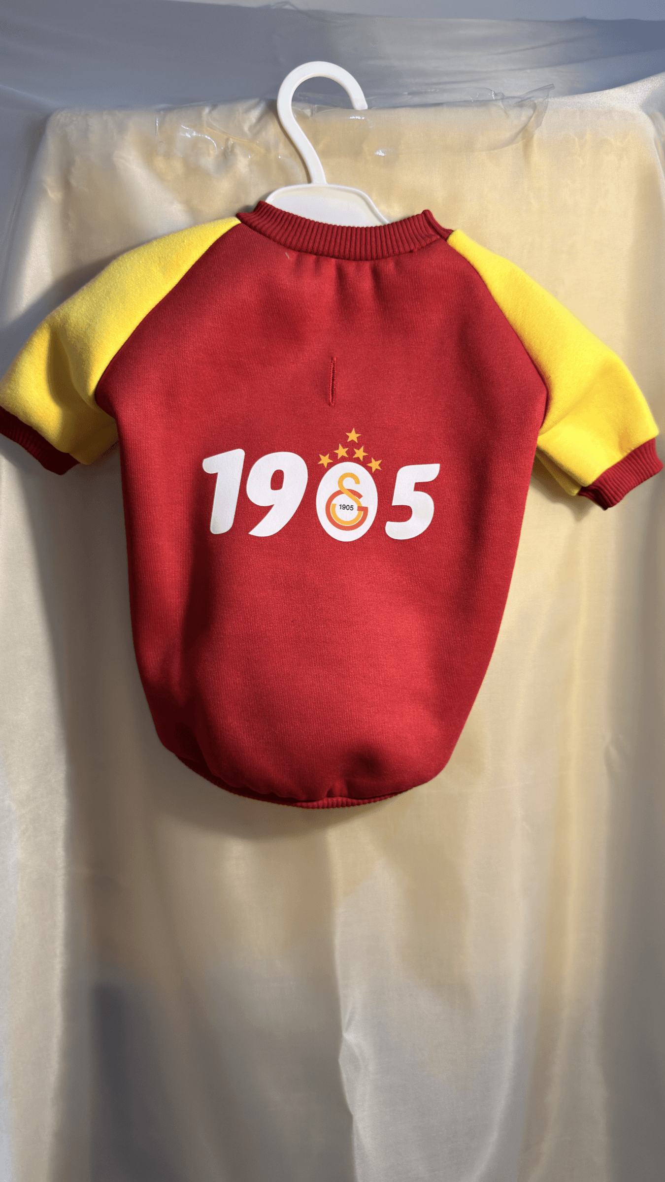 Galatasaray Evcil Hayvan Kıyafeti - Görsel 1